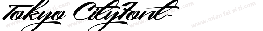Tokyo CityFont字体转换